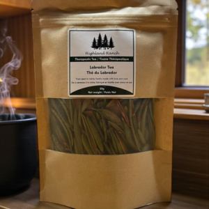 Labrador Tea